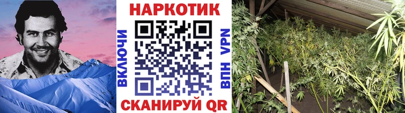 Какие есть наркотики Тольятти А ПВП  Галлюциногенные грибы  Канабис  Гашиш 