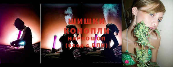 прущий лед Вяземский