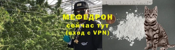 прущий лед Вяземский