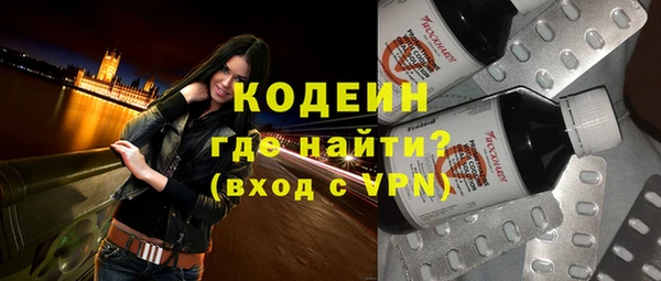 прущий лед Вяземский